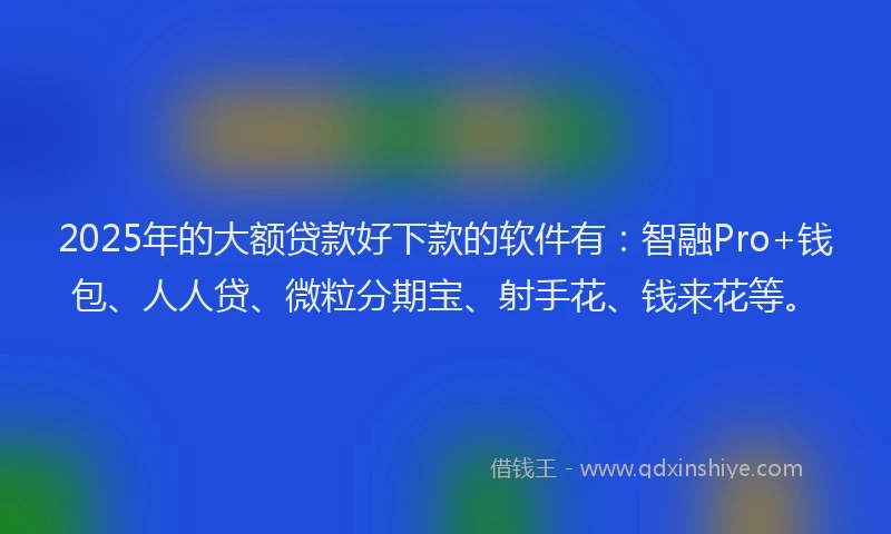 2025年的大额贷款好下款的软件有：智融Pro+钱包、人人贷、微粒分期宝、射手花、钱来花等。