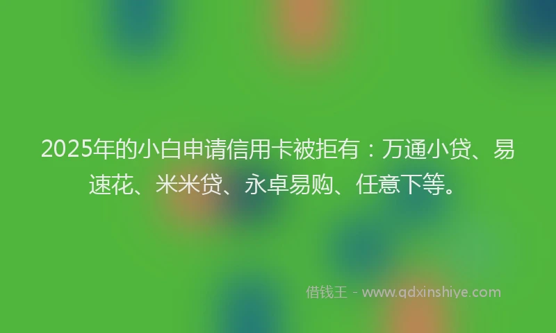 2025年的小白申请信用卡被拒有：万通小贷、易速花、米米贷、永卓易购、任意下等。