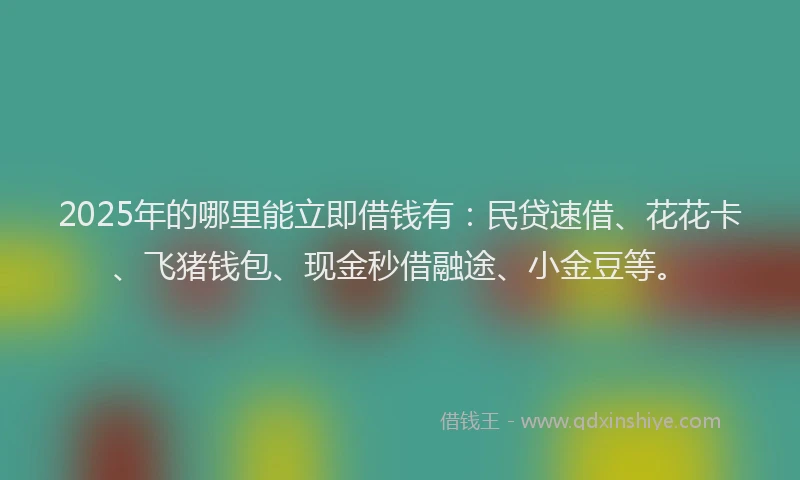 2025年的哪里能立即借钱有：民贷速借、花花卡、飞猪钱包、现金秒借融途、小金豆等。