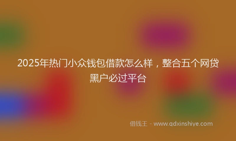 2025年热门小众钱包借款怎么样，整合五个网贷黑户必过平台