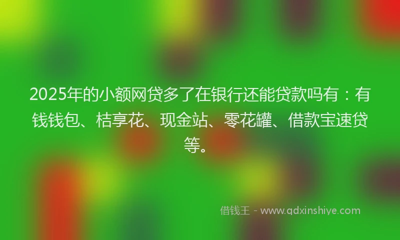 2025年的小额网贷多了在银行还能贷款吗有：有钱钱包、桔享花、现金站、零花罐、借款宝速贷等。