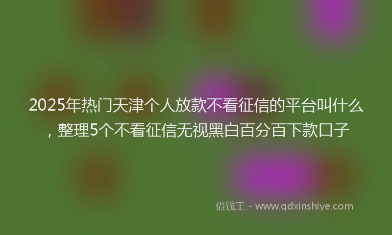 2025年热门天津个人放款不看征信的平台叫什么，整理5个不看征信无视黑白百分百下款口子