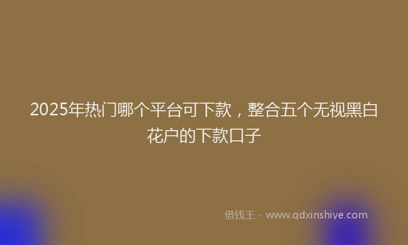 2025年热门哪个平台可下款，整合五个无视黑白花户的下款口子