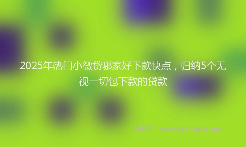 2025年热门小微贷哪家好下款快点，归纳5个无视一切包下款的贷款