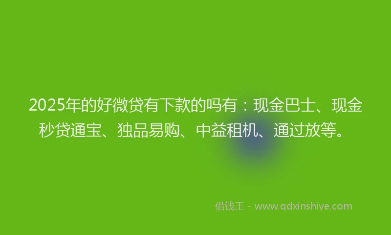 2025年的好微贷有下款的吗有：现金巴士、现金秒贷通宝、独品易购、中益租机、通过放等。