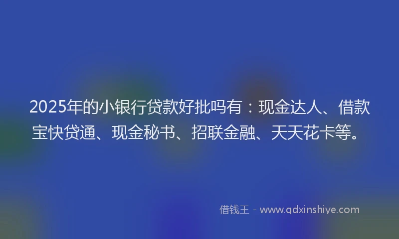 2025年的小银行贷款好批吗有：现金达人、借款宝快贷通、现金秘书、招联金融、天天花卡等。