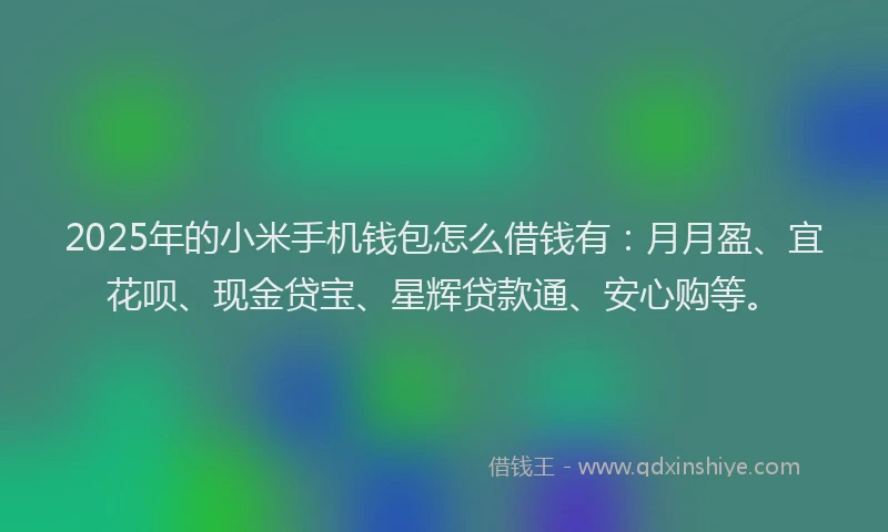 2025年的小米手机钱包怎么借钱有：月月盈、宜花呗、现金贷宝、星辉贷款通、安心购等。