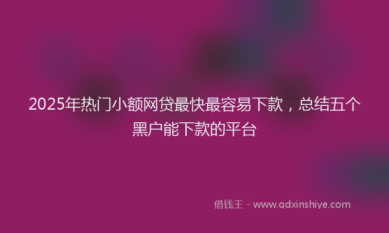 2025年热门小额网贷最快最容易下款，总结五个黑户能下款的平台