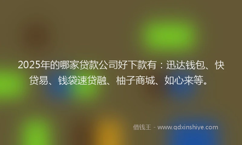 2025年的哪家贷款公司好下款有：迅达钱包、快贷易、钱袋速贷融、柚子商城、如心来等。
