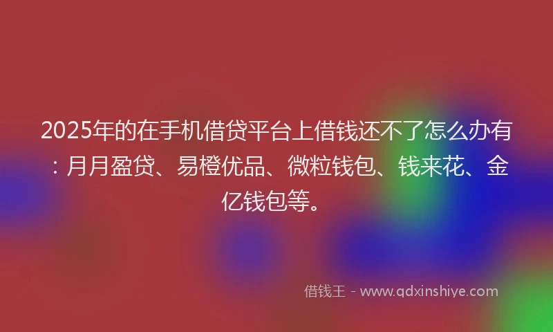 2025年的在手机借贷平台上借钱还不了怎么办有：月月盈贷、易橙优品、微粒钱包、钱来花、金亿钱包等。