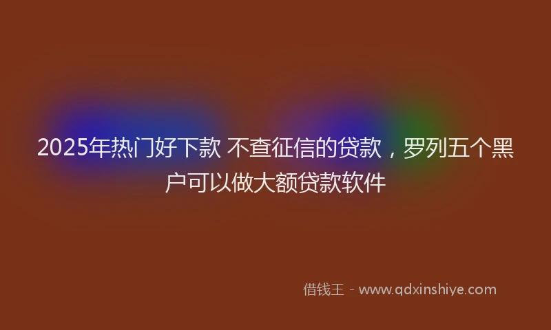 2025年热门好下款 不查征信的贷款，罗列五个黑户可以做大额贷款软件
