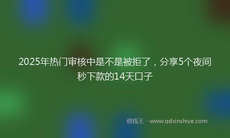 2025年热门审核中是不是被拒了，分享5个夜间秒下款的14天口子