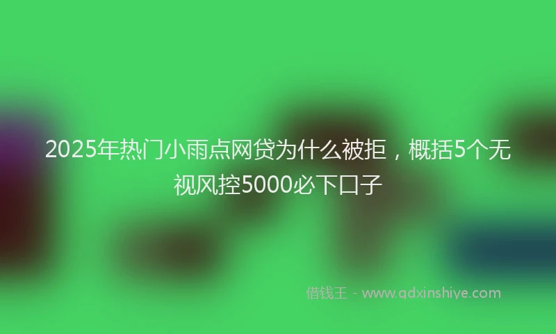 2025年热门小雨点网贷为什么被拒，概括5个无视风控5000必下口子
