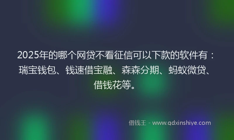 2025年的哪个网贷不看征信可以下款的软件有：瑞宝钱包、钱速借宝融、森森分期、蚂蚁微贷、借钱花等。