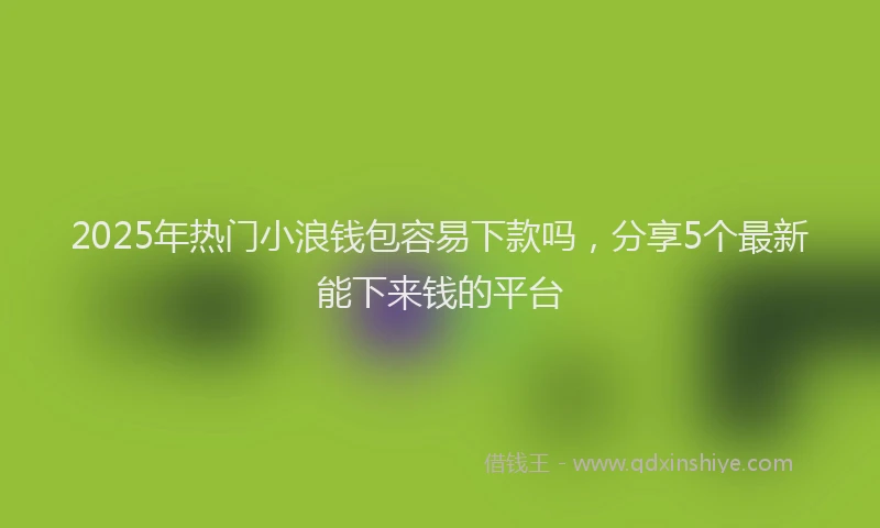 2025年热门小浪钱包容易下款吗，分享5个最新能下来钱的平台