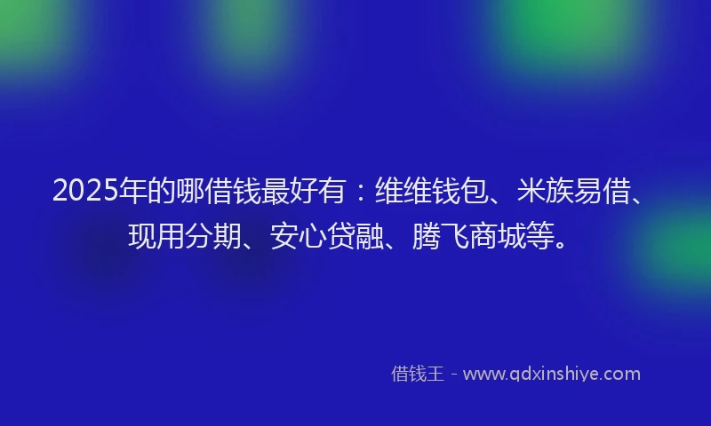2025年的哪借钱最好有：维维钱包、米族易借、现用分期、安心贷融、腾飞商城等。