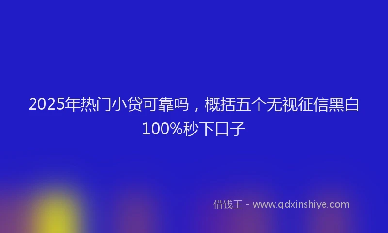 2025年热门小贷可靠吗，概括五个无视征信黑白100%秒下口子