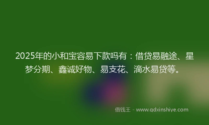 2025年的小和宝容易下款吗有：借贷易融途、星梦分期、鑫诚好物、易支花、滴水易贷等。