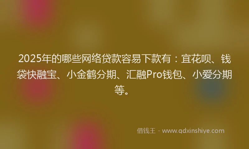 2025年的哪些网络贷款容易下款有：宜花呗、钱袋快融宝、小金鹤分期、汇融Pro钱包、小爱分期等。