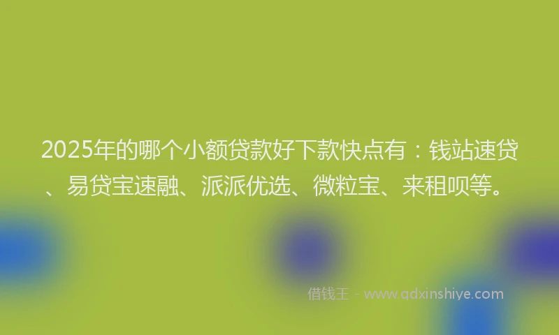 2025年的哪个小额贷款好下款快点有：钱站速贷、易贷宝速融、派派优选、微粒宝、来租呗等。