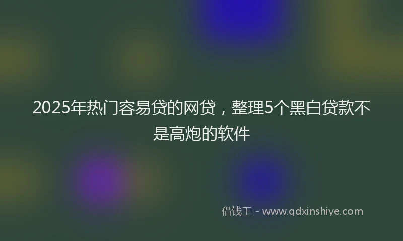 2025年热门容易贷的网贷，整理5个黑白贷款不是高炮的软件