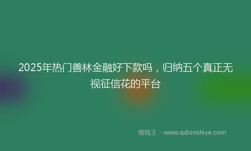 2025年热门善林金融好下款吗，归纳五个真正无视征信花的平台