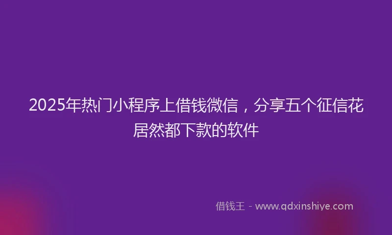 2025年热门小程序上借钱微信，分享五个征信花居然都下款的软件