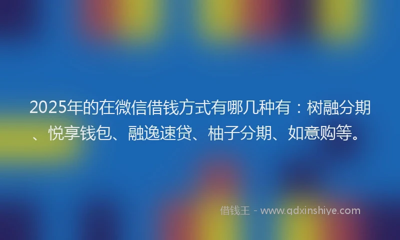 2025年的在微信借钱方式有哪几种有：树融分期、悦享钱包、融逸速贷、柚子分期、如意购等。