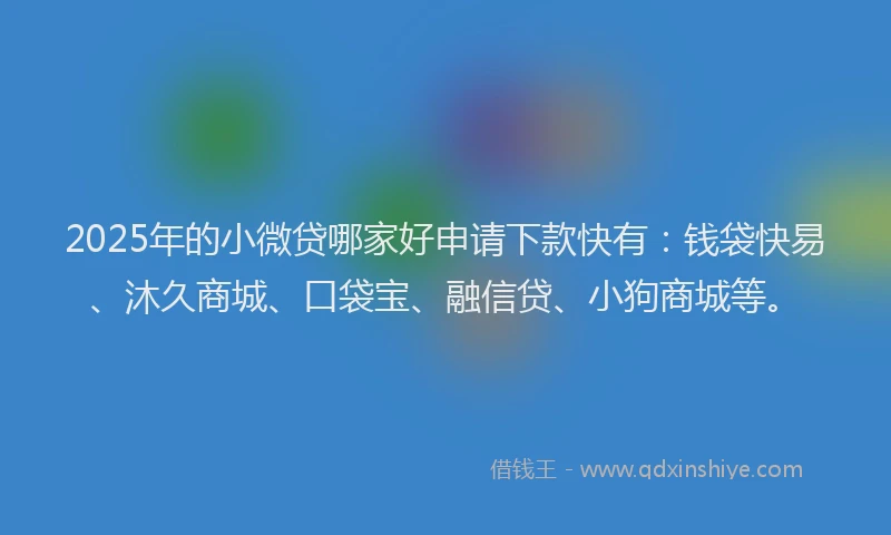 2025年的小微贷哪家好申请下款快有：钱袋快易、沐久商城、口袋宝、融信贷、小狗商城等。