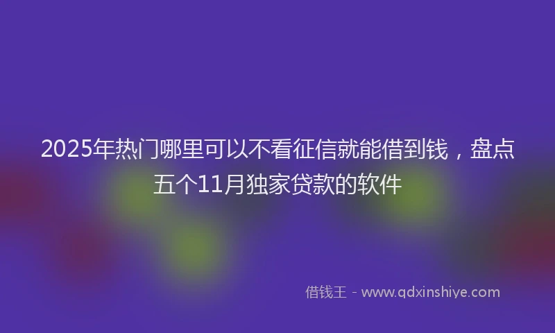 2025年热门哪里可以不看征信就能借到钱，盘点五个11月独家贷款的软件