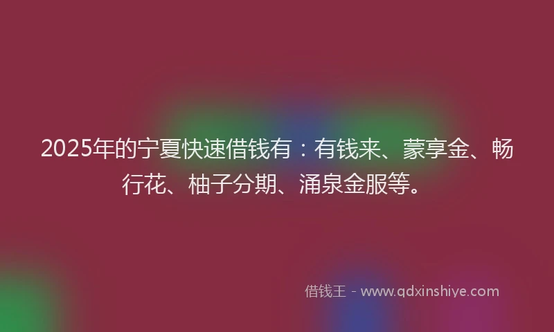 2025年的宁夏快速借钱有：有钱来、蒙享金、畅行花、柚子分期、涌泉金服等。