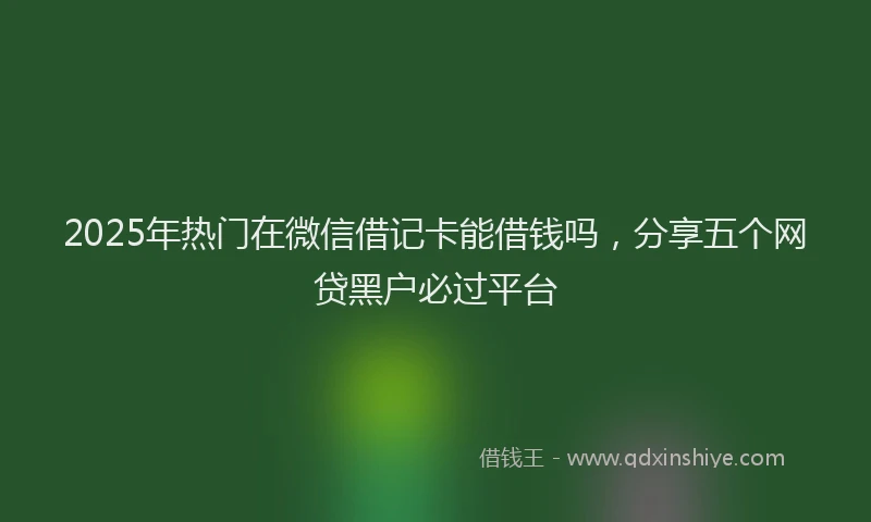 2025年热门在微信借记卡能借钱吗，分享五个网贷黑户必过平台