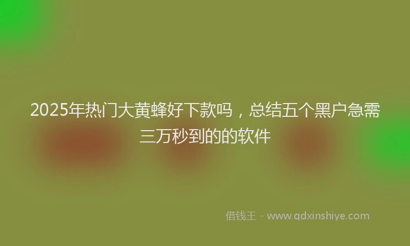 2025年热门大黄蜂好下款吗，总结五个黑户急需三万秒到的的软件
