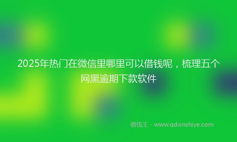 2025年热门在微信里哪里可以借钱呢，梳理五个网黑逾期下款软件