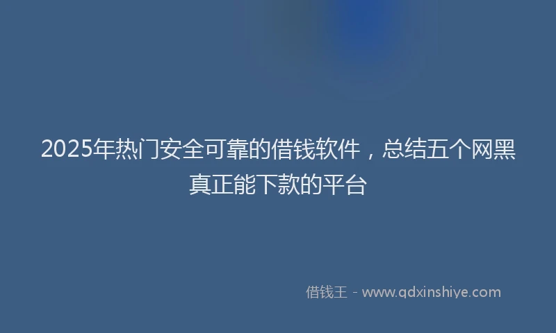 2025年热门安全可靠的借钱软件，总结五个网黑真正能下款的平台
