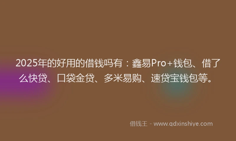 2025年的好用的借钱吗有:鑫易Pro+钱包、借了么快贷、口袋金贷、多米易购、速贷宝钱包等。