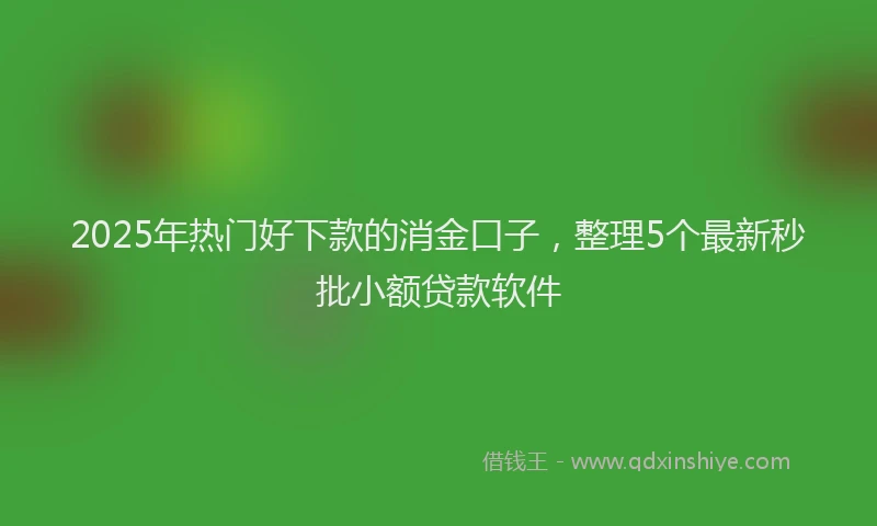 2025年热门好下款的消金口子，整理5个最新秒批小额贷款软件