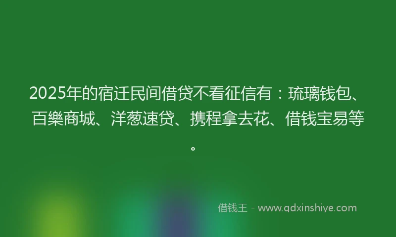 2025年的宿迁民间借贷不看征信有：琉璃钱包、百樂商城、洋葱速贷、携程拿去花、借钱宝易等。