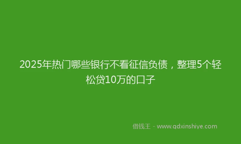 2025年热门哪些银行不看征信负债，整理5个轻松贷10万的口子