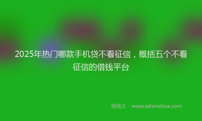 2025年热门哪款手机贷不看征信，概括五个不看征信的借钱平台