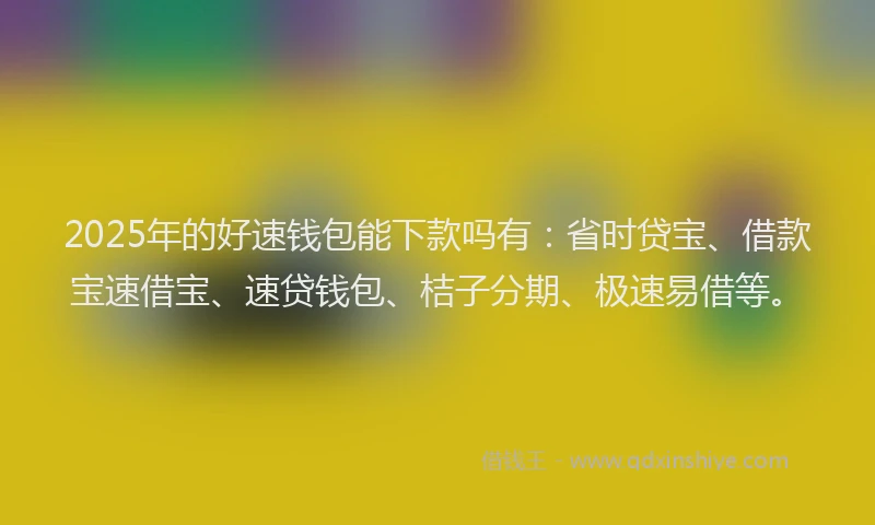 2025年的好速钱包能下款吗有：省时贷宝、借款宝速借宝、速贷钱包、桔子分期、极速易借等。