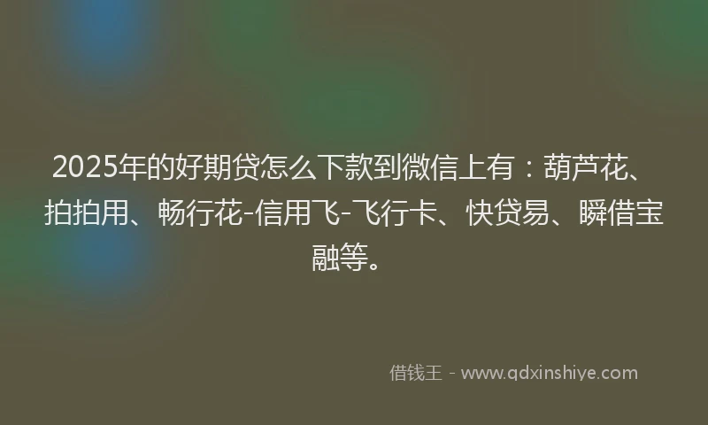 2025年的好期贷怎么下款到微信上有：葫芦花、拍拍用、畅行花-信用飞-飞行卡、快贷易、瞬借宝融等。