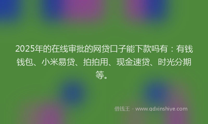 2025年的在线审批的网贷口子能下款吗有：有钱钱包、小米易贷、拍拍用、现金速贷、时光分期等。