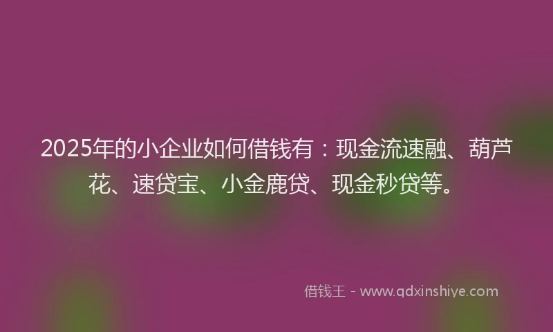 2025年的小企业如何借钱有：现金流速融、葫芦花、速贷宝、小金鹿贷、现金秒贷等。