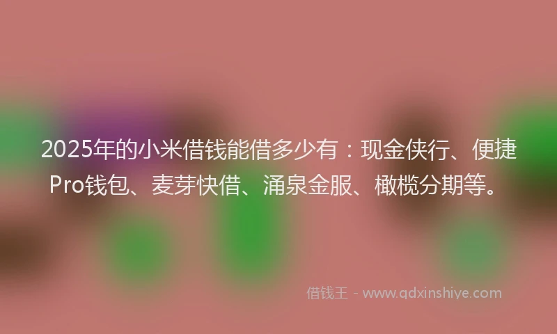 2025年的小米借钱能借多少有：现金侠行、便捷Pro钱包、麦芽快借、涌泉金服、橄榄分期等。
