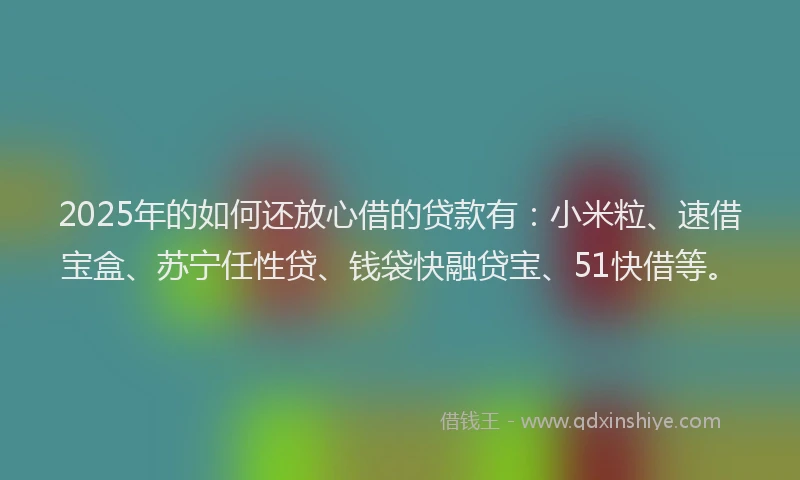 2025年的如何还放心借的贷款有：小米粒、速借宝盒、苏宁任性贷、钱袋快融贷宝、51快借等。