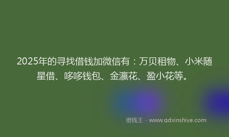 2025年的寻找借钱加微信有：万贝租物、小米随星借、哆哆钱包、金瀛花、盈小花等。