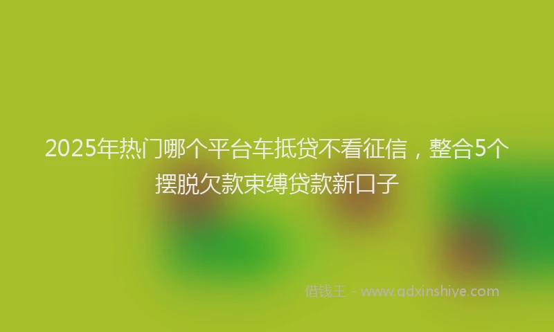 2025年热门哪个平台车抵贷不看征信，整合5个摆脱欠款束缚贷款新口子