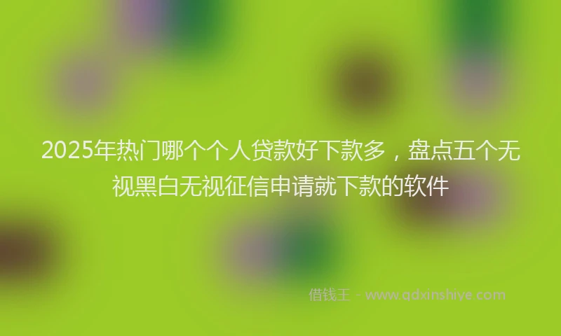2025年热门哪个个人贷款好下款多，盘点五个无视黑白无视征信申请就下款的软件