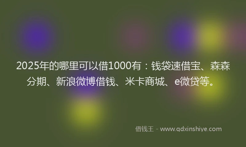 2025年的哪里可以借1000有：钱袋速借宝、森森分期、新浪微博借钱、米卡商城、e微贷等。